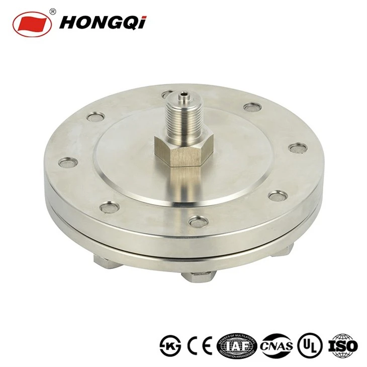 Stainless Steel Diaphragm Pressure Gauge With Flange Connection high quality