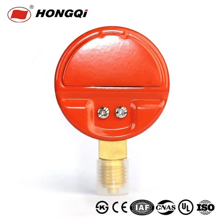 Steam pressure gauge