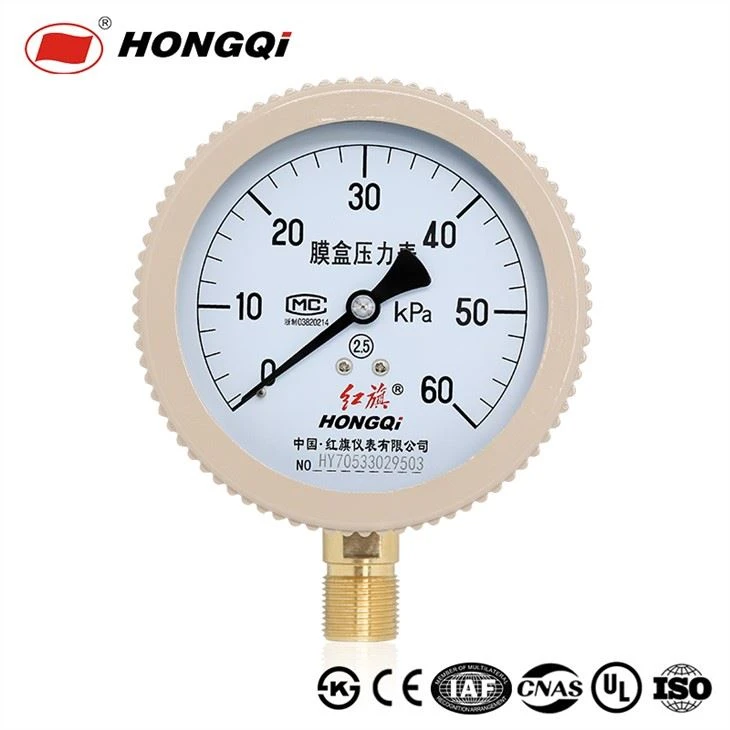 Hongqi Ye100mm 4inch Capsual Pressure Gauge