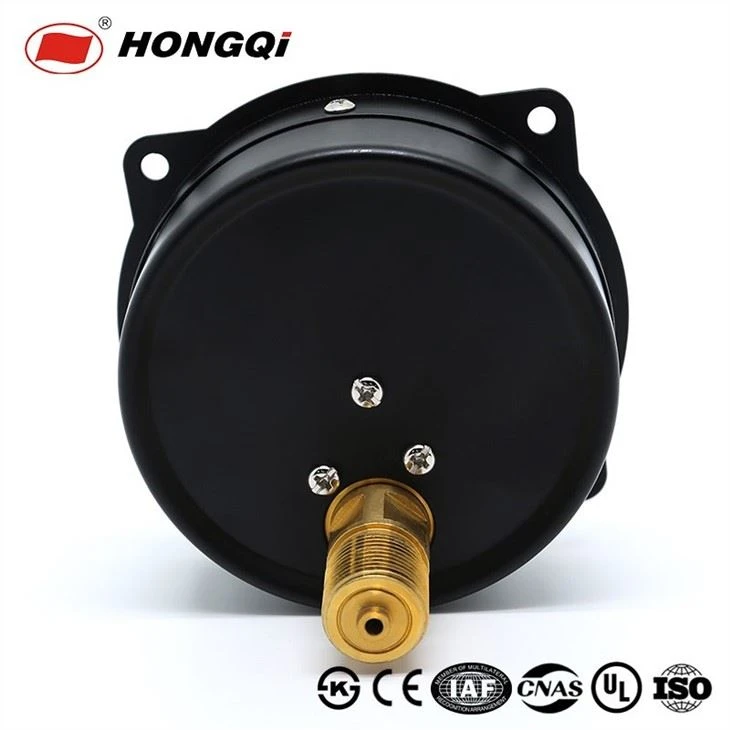 Manometer Axial Back Connection With Front Flange