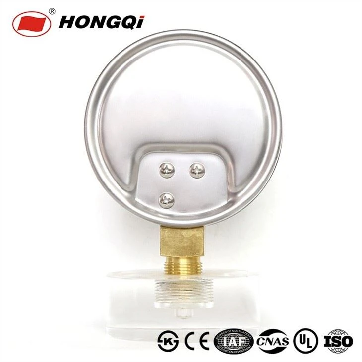 YE-100 Semi -Steel Series Capsule Pressure Gauge